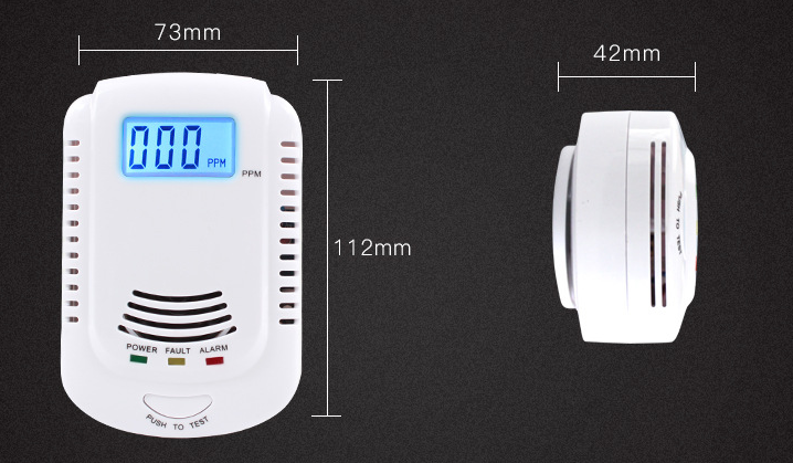 Carbon Monoxide CO and Gas Alarm Detector With Screen Voice